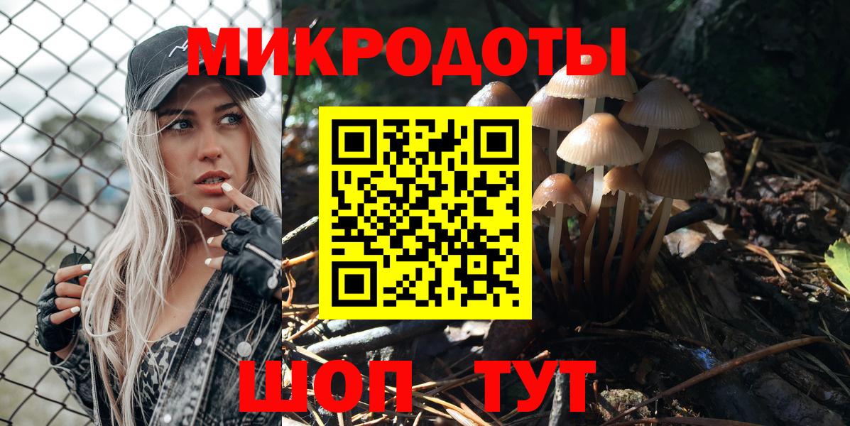 Псилоцибиновые грибы Psilocybe Долгопрудный