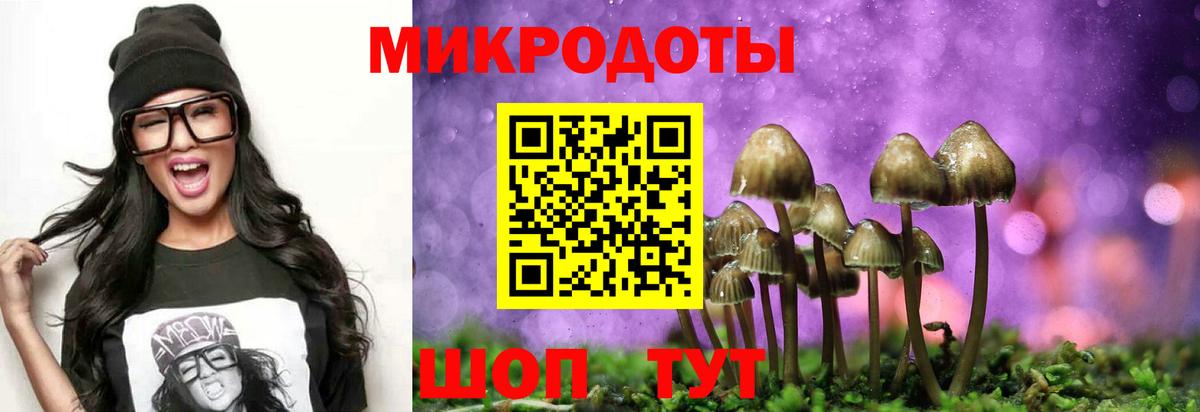 Долгопрудный  Галлюциногенные грибы Cubensis  Вход с VPN 